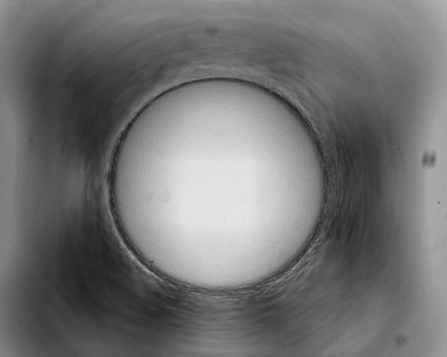 X0000103951508200810101426