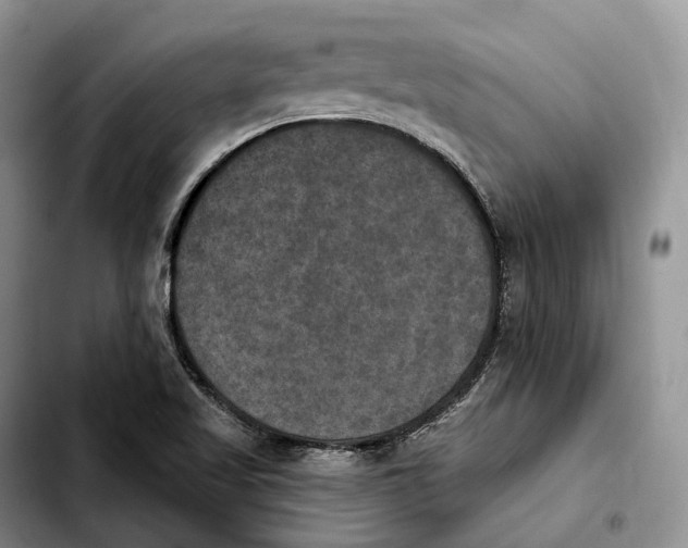 X0000103951509200810101427