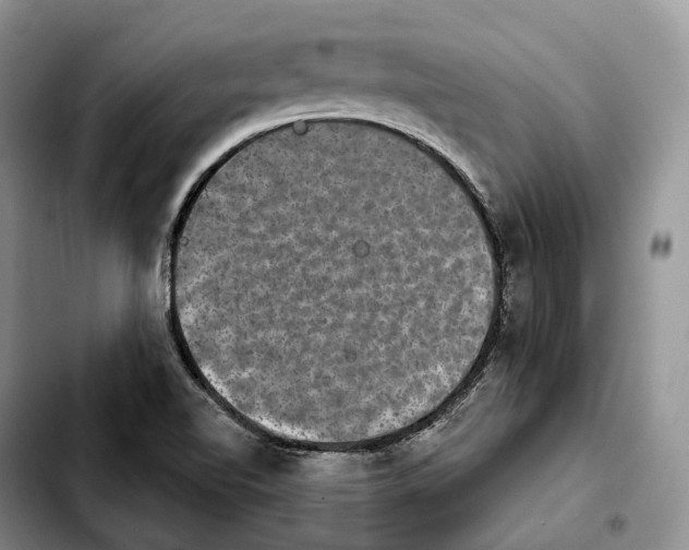 X0000103951510200810101427