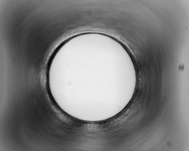 X0000103951511200810101427