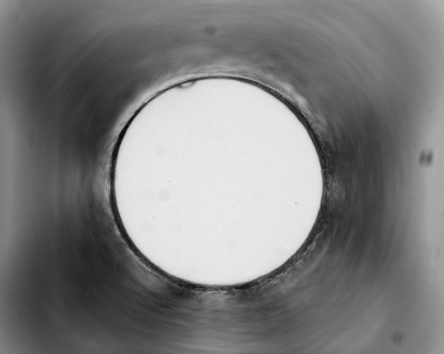 X0000103951512200810101427