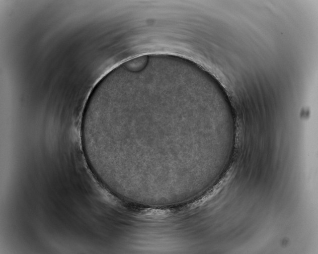 X0000103951513200810101427