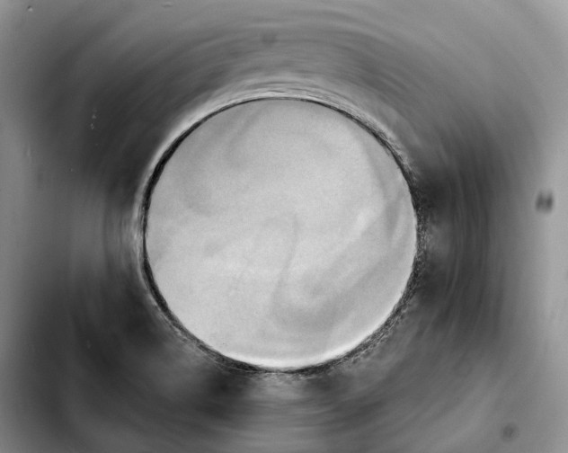 X0000103951514200810101427