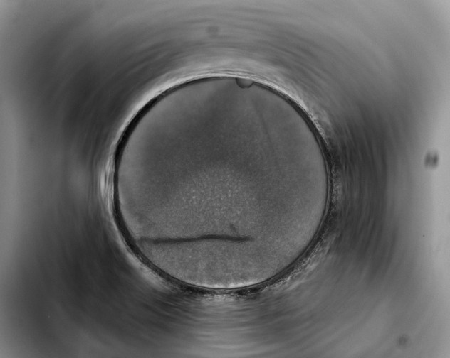 X0000103951515200810101427