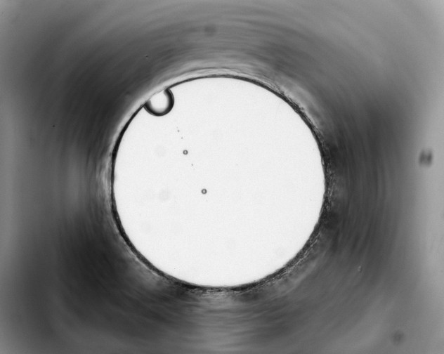 X0000103951516200810101427