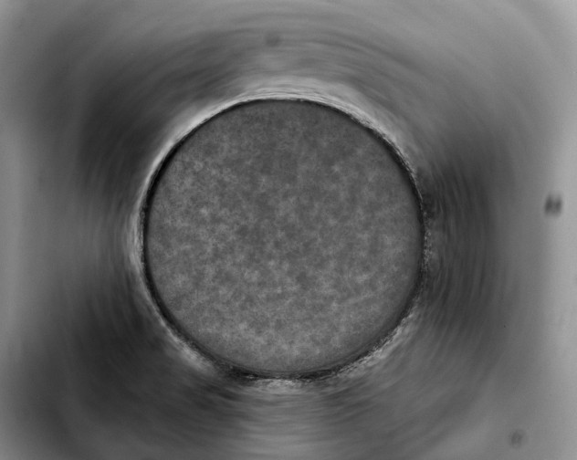 X0000103951517200810101427