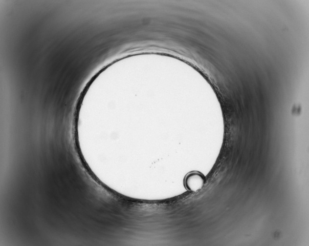 X0000103951518200810101427