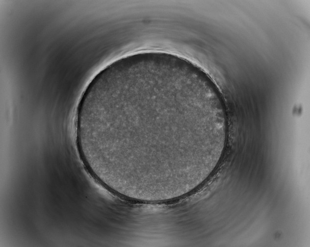 X0000103951519200810101427