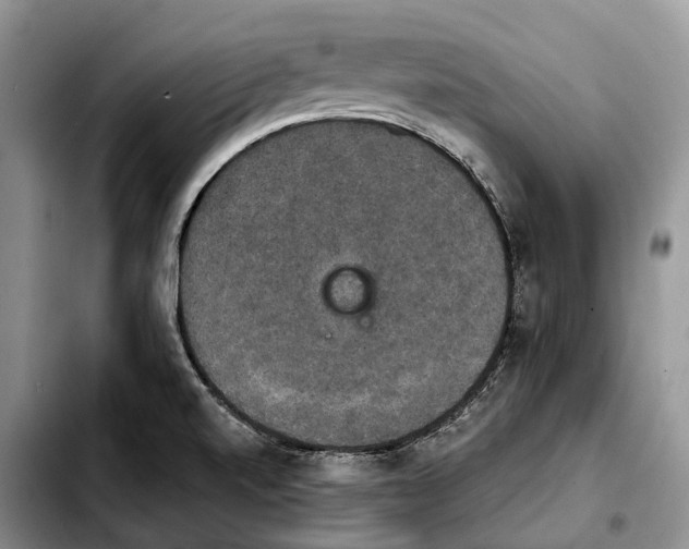 X0000103951520200810101427