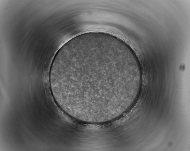 X0000103951521200810101427