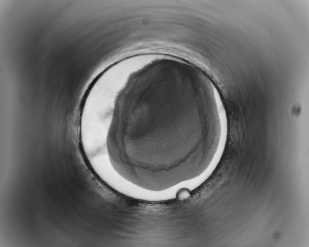 X0000103951522200810101427