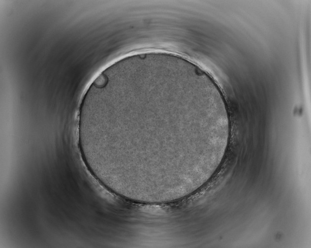 X0000103951524200810101427