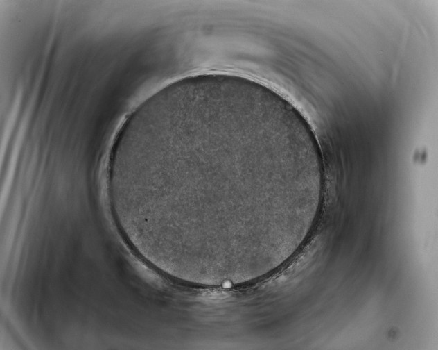 X0000103951525200810101427