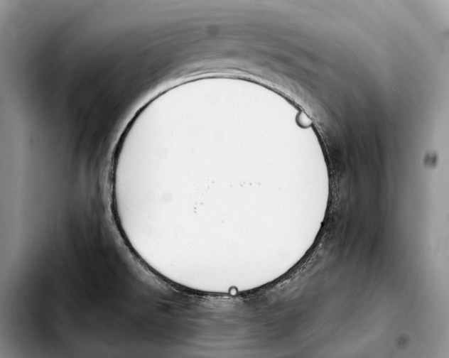 X0000103951526200810101427