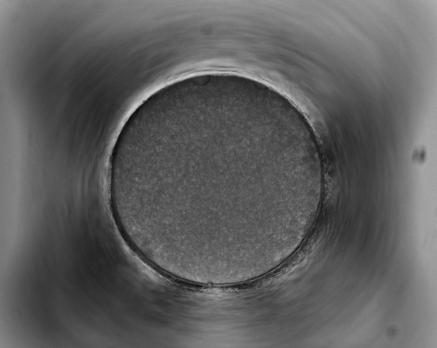 X0000103951527200810101427