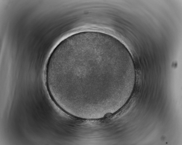 X0000103951531200810101427