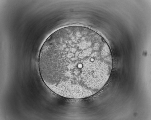 X0000103951532200810101427