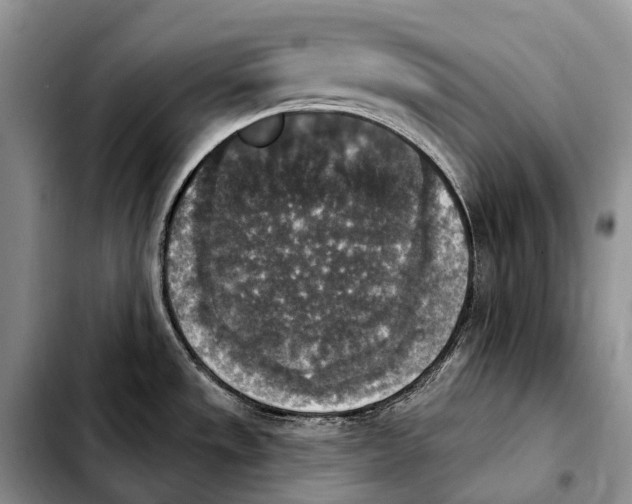 X0000103951533200810101427