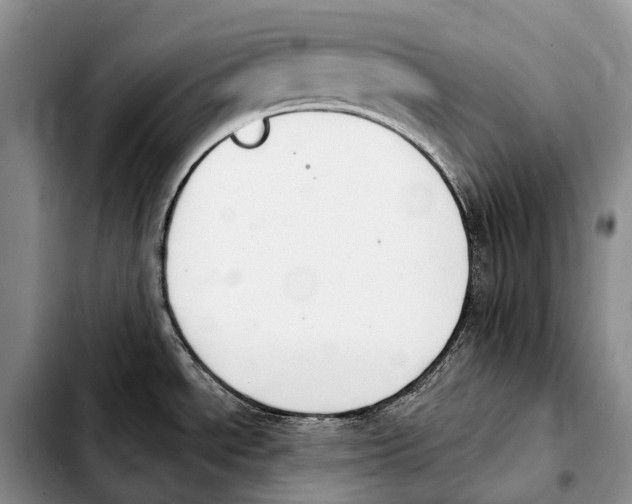 X0000103951534200810101427