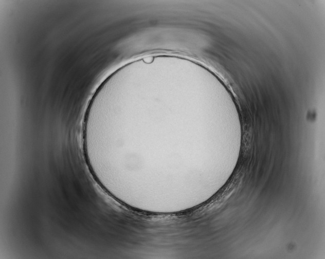 X0000103951535200810101427