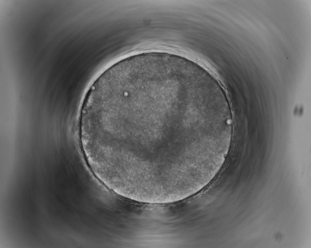 X0000103951536200810101427