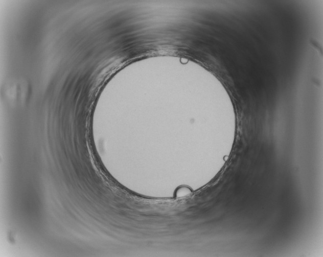 X0000103950001200810171850