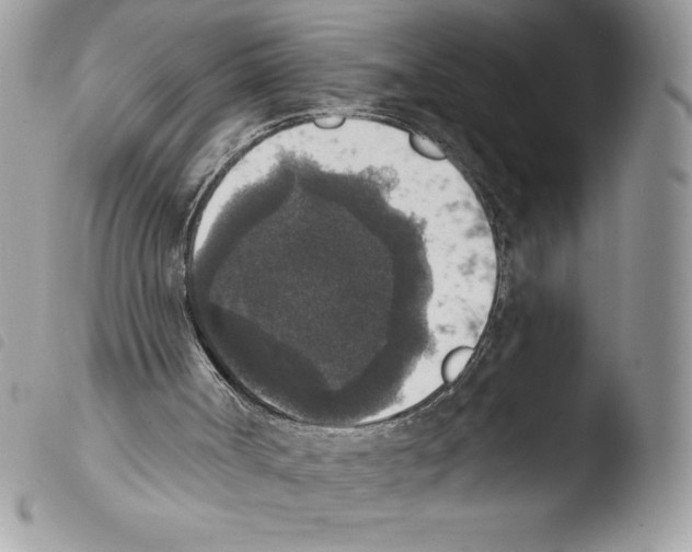 X0000103950002200810171850