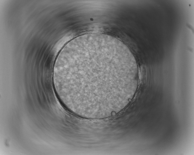 X0000103950003200810171850