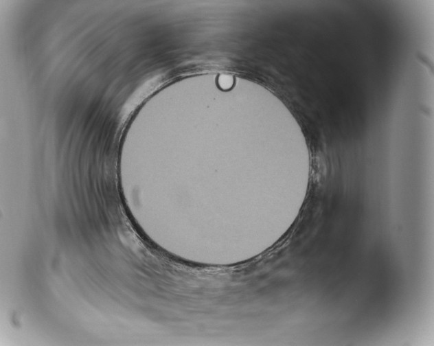 X0000103950004200810171850