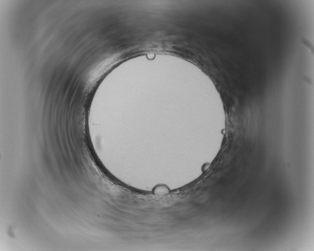 X0000103950005200810171850