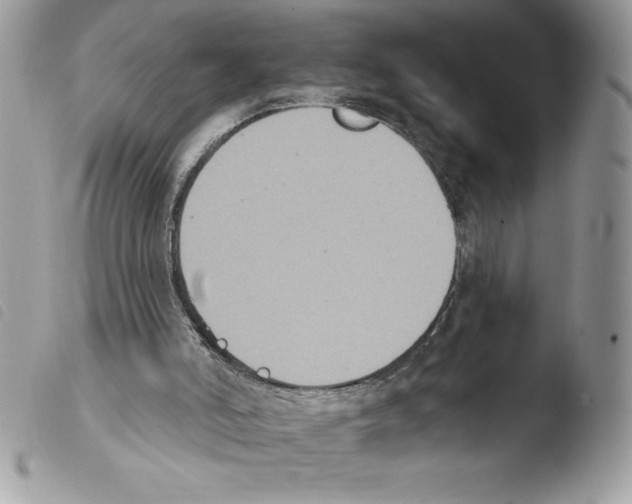 X0000103950006200810171850