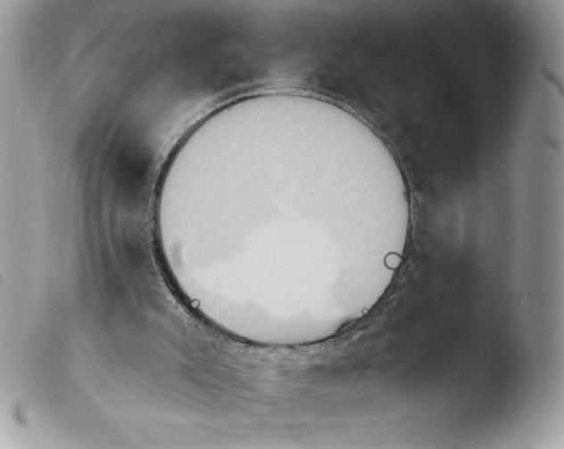 X0000103950007200810171850
