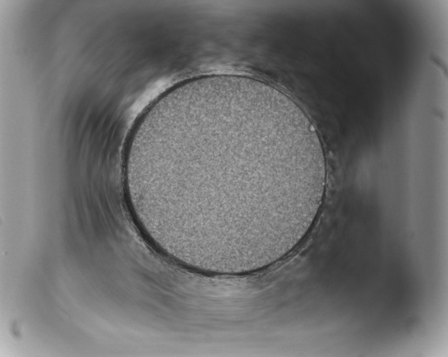 X0000103950008200810171850
