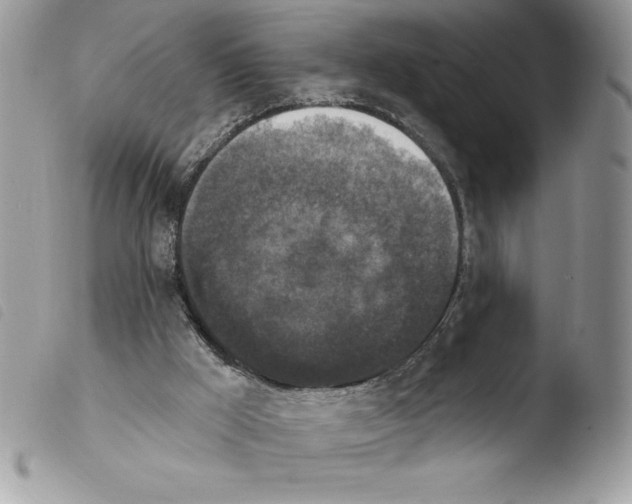 X0000103950009200810171850