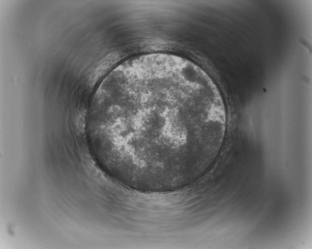 X0000103950010200810171850