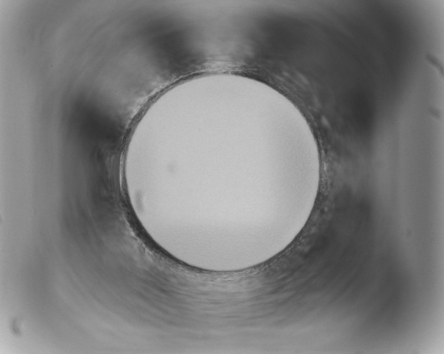 X0000103950011200810171849
