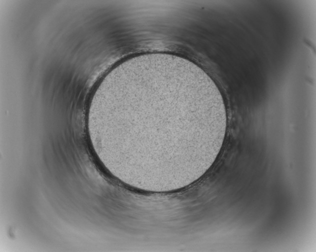 X0000103950012200810171849
