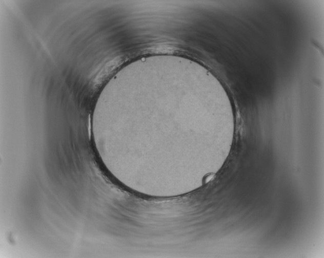 X0000103950013200810171849