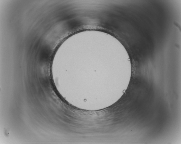X0000103950015200810171849