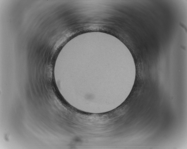 X0000103950016200810171849