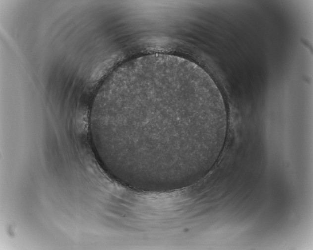 X0000103950017200810171849