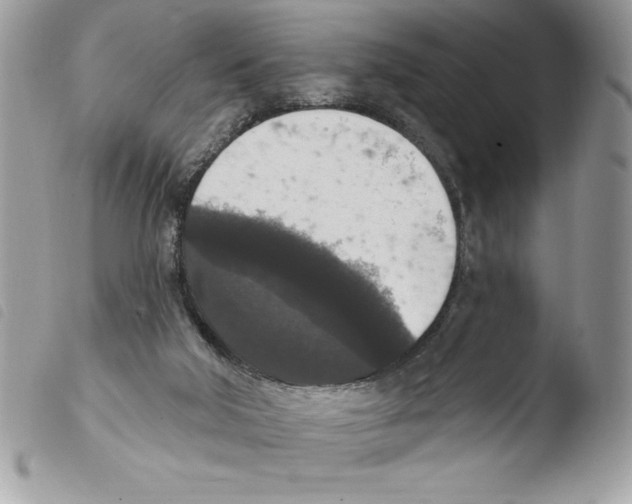 X0000103950018200810171849