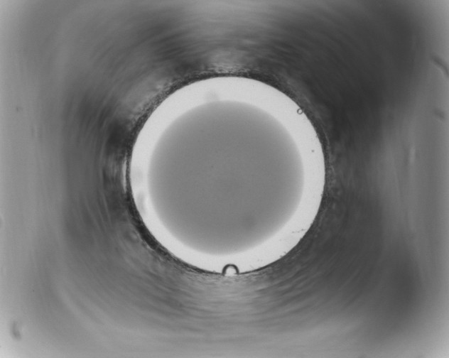 X0000103950019200810171849