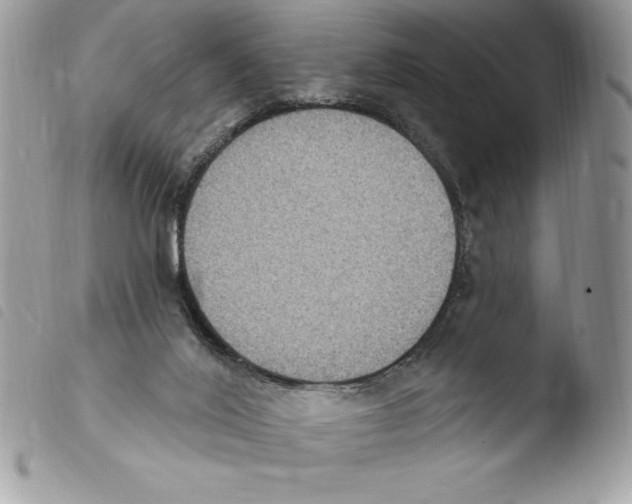 X0000103950020200810171849