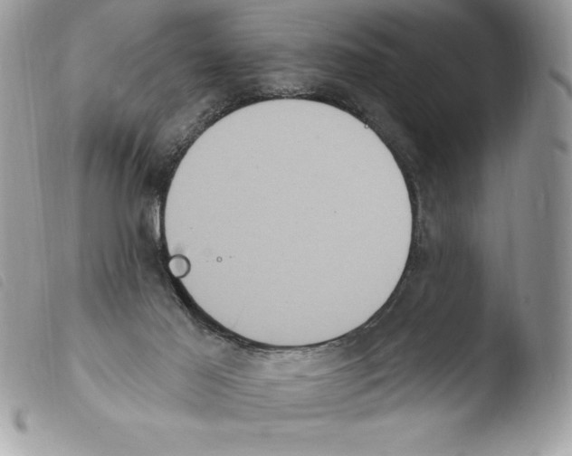 X0000103950021200810171849