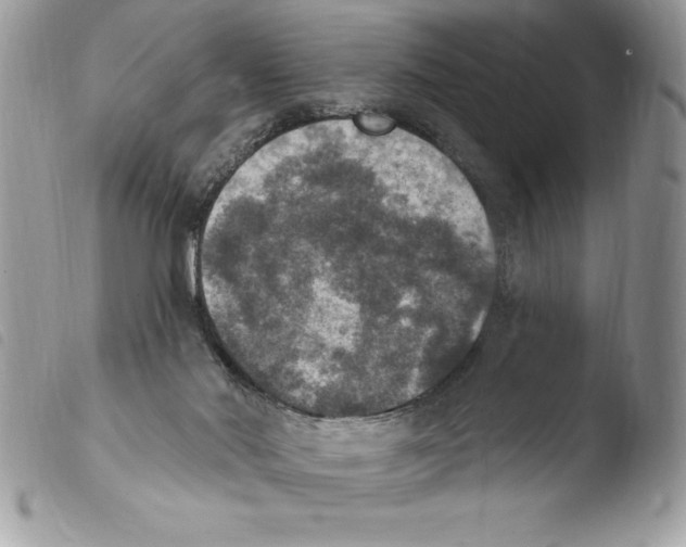 X0000103950022200810171849