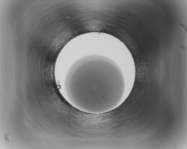 X0000103950023200810171849