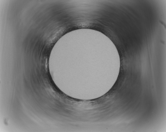 X0000103950024200810171849