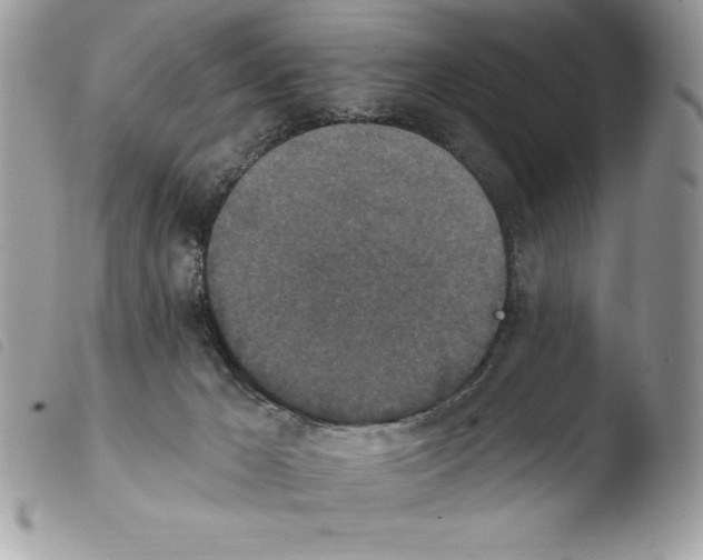 X0000103950029200810171849