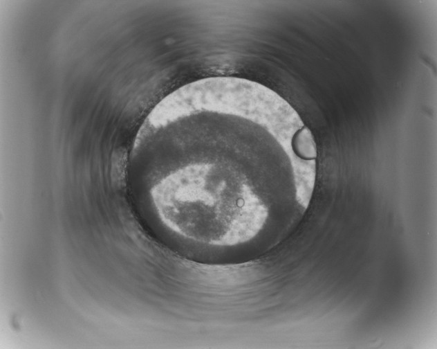 X0000103950030200810171849